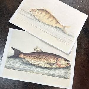 Vintage Fish Art Prints Set